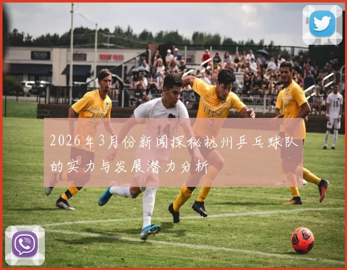 2026年3月份新闻探秘杭州乒乓球队的实力与发展潜力分析