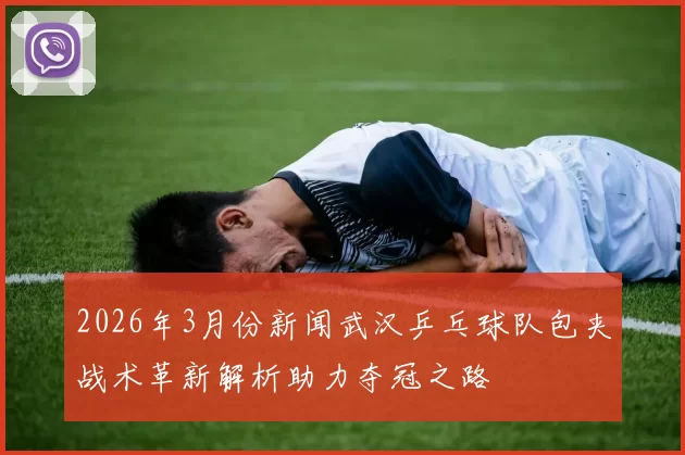2026年3月份新闻武汉乒乓球队包夹战术革新解析助力夺冠之路